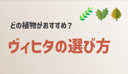 ヴィヒタの選び方に迷ったらこれを見れば安心【オーク・白樺・ユーカリ】