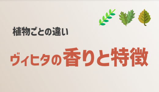 【これで迷わない】ヴィヒタの香りを植物の特徴ごとに紹介